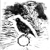 Starling Sessions
